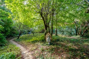 Photo 17- click for photo gallery